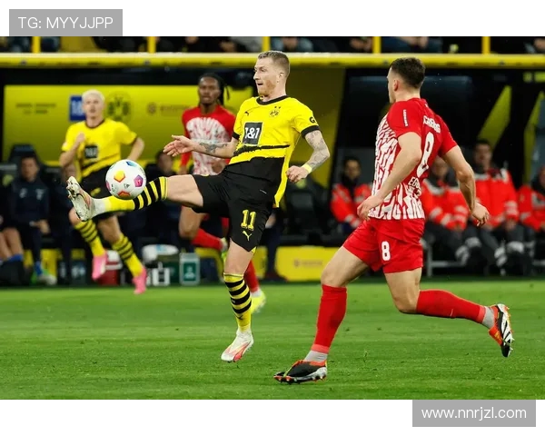 多特蒙德足球俱乐部的辉煌历程与未来发展展望