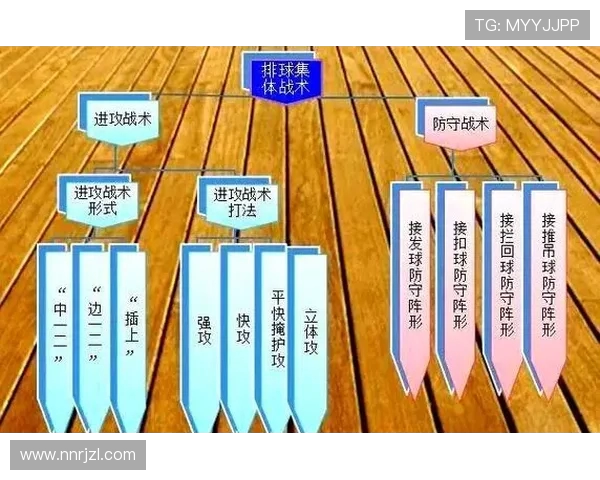 西安排球队区域防守体系的排球战术解析与应用探讨 西安排球队区域防守体系的排球战术解析与应用探讨