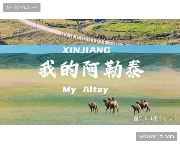 飞盘与梦想交织的旅程：赵强的深度对话与人生启示